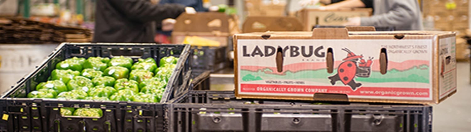 ORGANICALLY GROWN COMPANY visual data 3